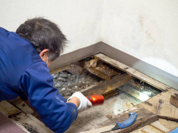 Best Water Damage Restoration  in Douglas, GA
