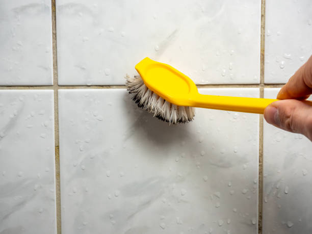 Best Fast Mold Removal  in Douglas, GA
