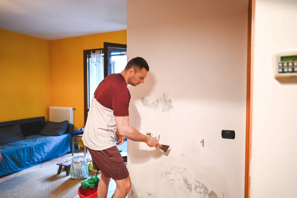 Best Mold Remediation  in Douglas, GA
