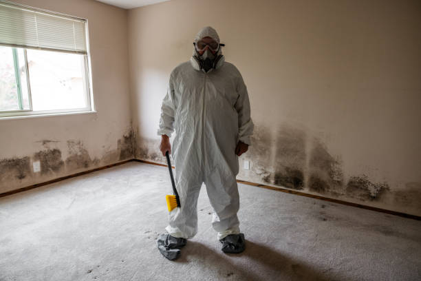 Best Certified Mold Removal  in Douglas, GA