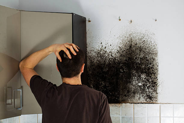 Office Mold Removal Services in Douglas, GA